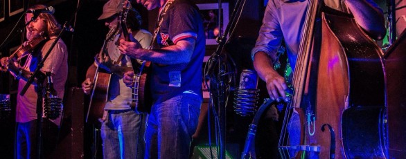 Upcoming Local Shows uproot